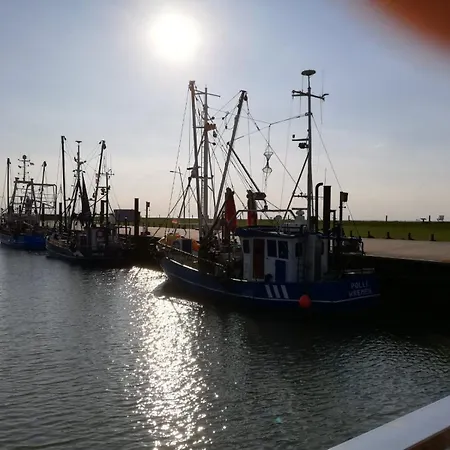 Carolin Am Nordseedeich Prázdninový dům *