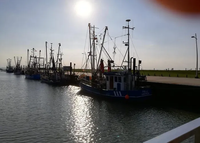 Carolin Am Nordseedeich 度假居 *